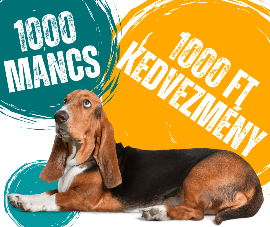 PawClub 1000 mancs 1000 Ft kedvezmeny