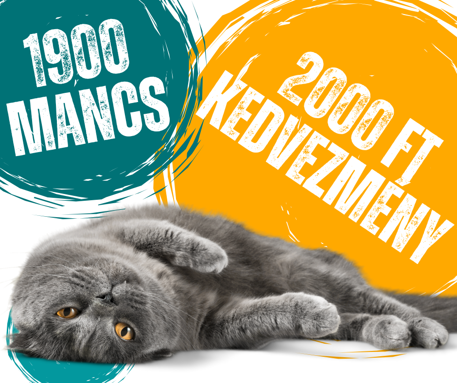 PawClub 1900 mancs 2000 Ft kedvezmeny