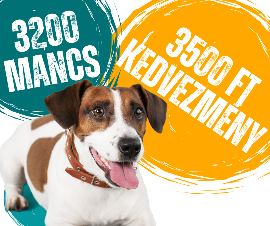 PawClub 3200 mancs 3500 Ft kedvezmeny