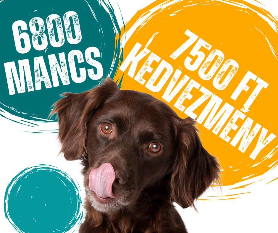 PawClub 6800 mancs 7500 Ft kedvezmeny