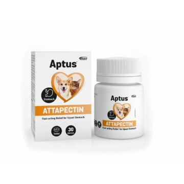Aptus Attapectin tabletta 30x – táplálékkiegészítő kutyáknak