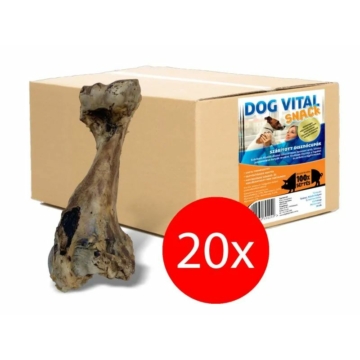 Dog Vital Disznócupák 20db/karton – jutalomfalat kutyáknak