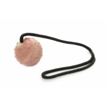 Játék Gumi Labda Tömör Füllel 70mm/50cm – kutyajáték