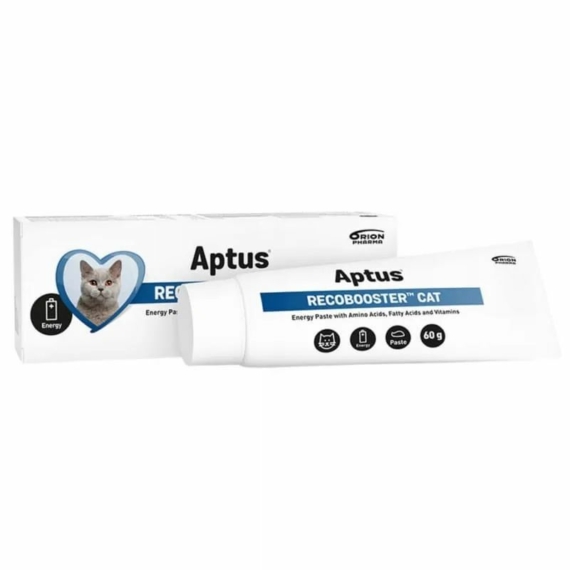 Aptus Recobooster Cat 60 g – táplálékkiegészítő macskáknak