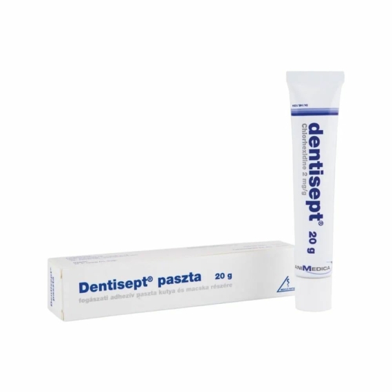 Dentisept Adhezív paszta 20 g