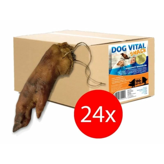 Dog Vital Disznóláb 24db/karton – jutalomfalat kutyáknak