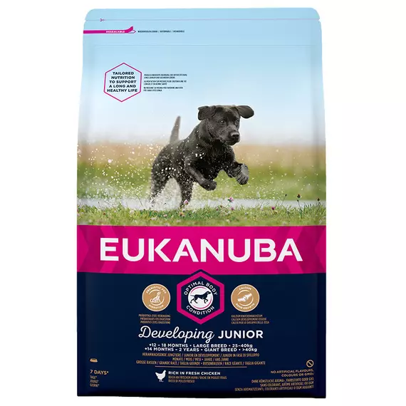 Eukanuba Junior Large kutyatáp 3kg