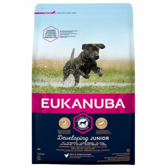 Eukanuba Junior Large kutyatáp 3kg – száraz kutyatáp