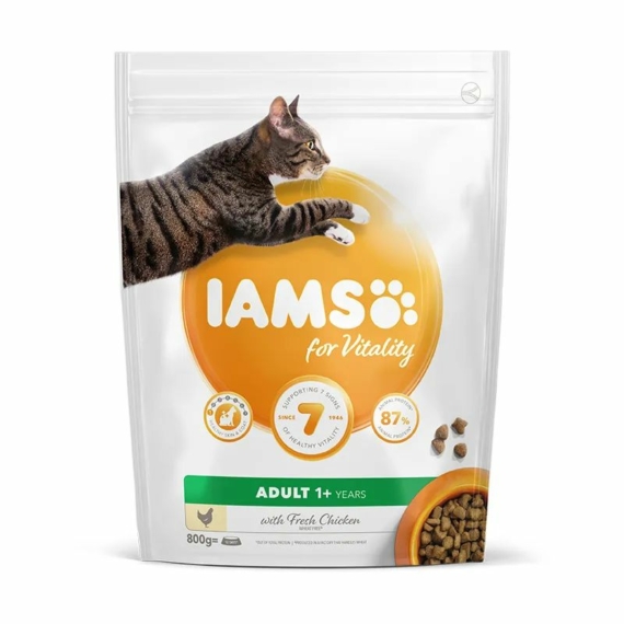 Iams Cat Adult Dental csirke macskatáp 800g – száraz macskatáp