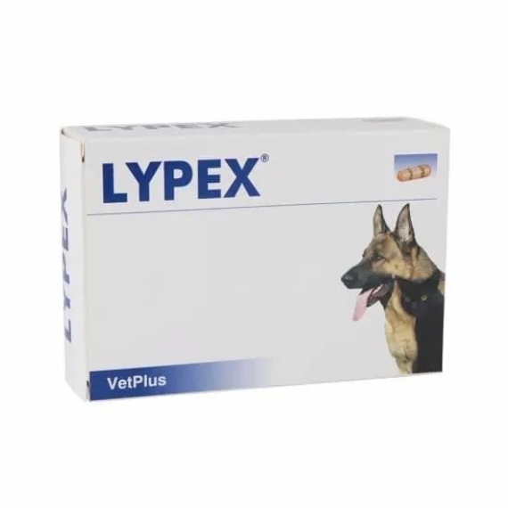 Lypex kapszula 60x – táplálékkiegészítő kutyáknak