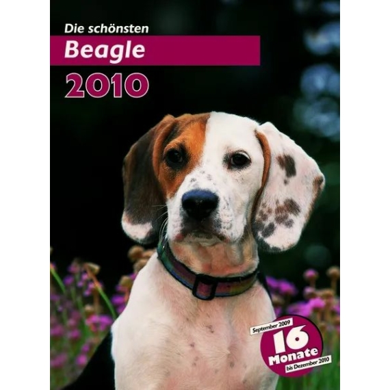 Trixie Naptár Beagle