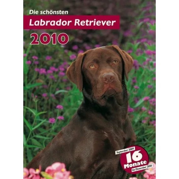 Trixie Naptár Labrador Retrievers