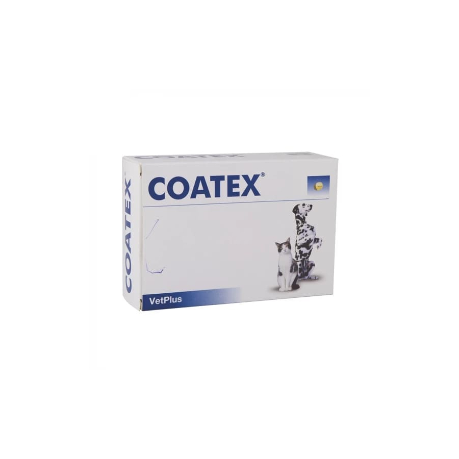 Coatex bőrtápláló kapszula 60x